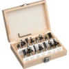 Coffret De Fraises De Défonceuse Einhell 15 Pcs -TOOLSTATION Soldes 18068